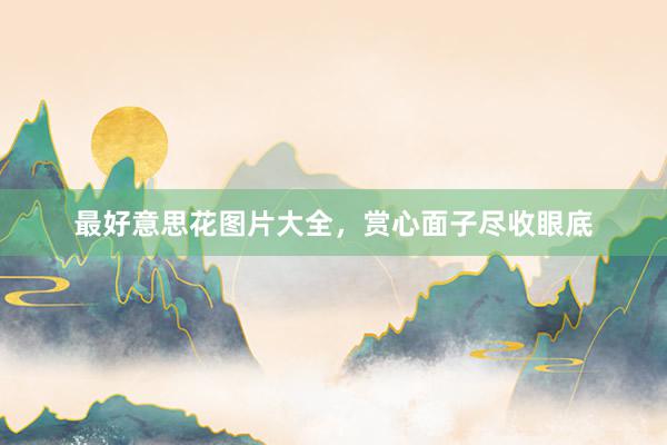 最好意思花图片大全，赏心面子尽收眼底