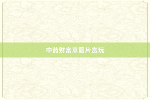 中药财富草图片赏玩