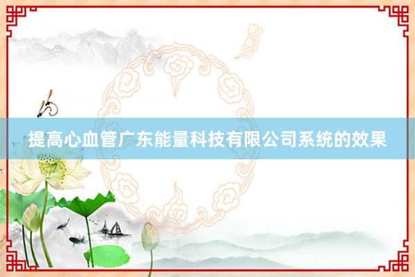 提高心血管广东能量科技有限公司系统的效果