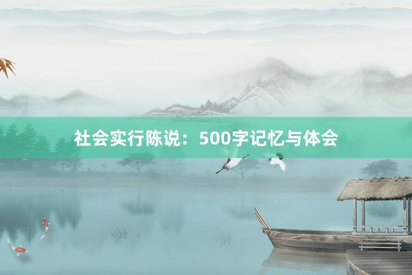 社会实行陈说：500字记忆与体会