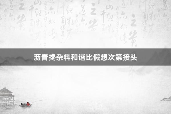 沥青搀杂料和谐比假想次第接头