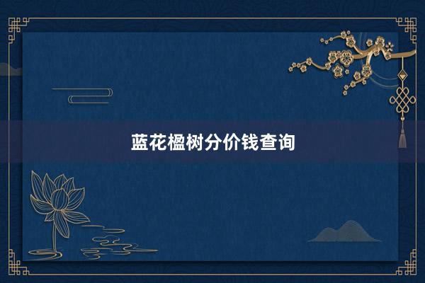 蓝花楹树分价钱查询