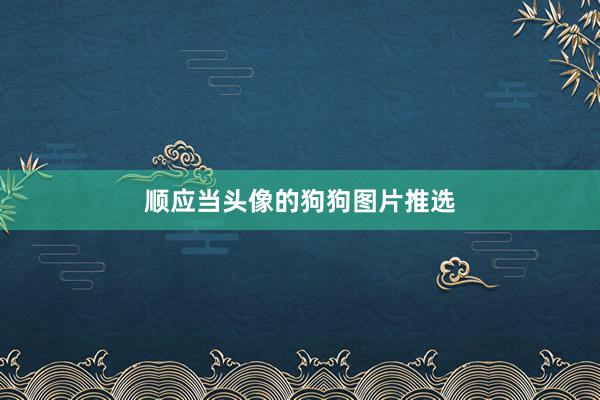 顺应当头像的狗狗图片推选