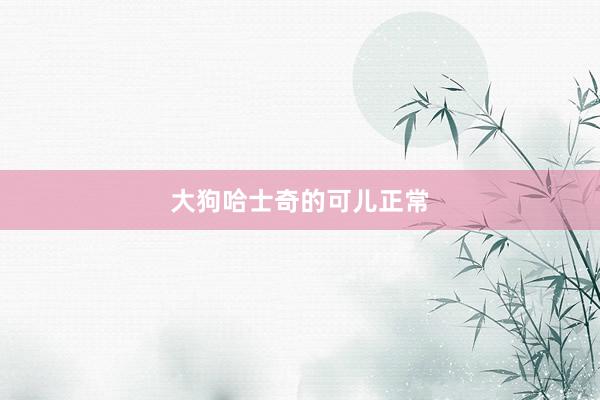 大狗哈士奇的可儿正常