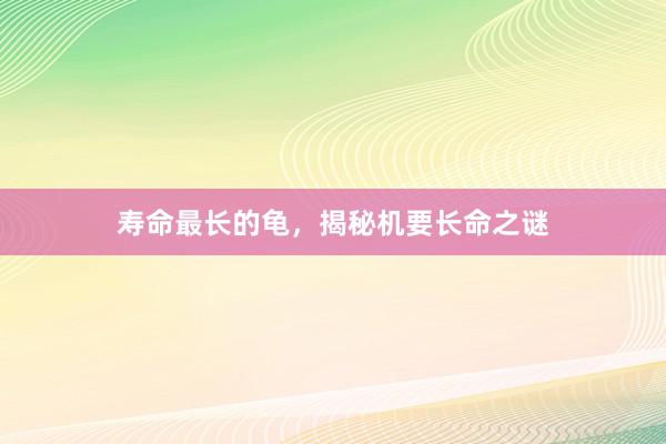 寿命最长的龟，揭秘机要长命之谜